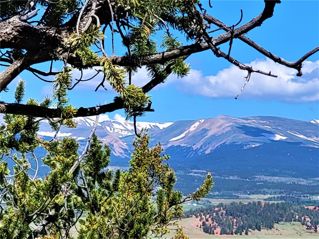 2041 Middle Fork Vista Fairplay CO 80440
