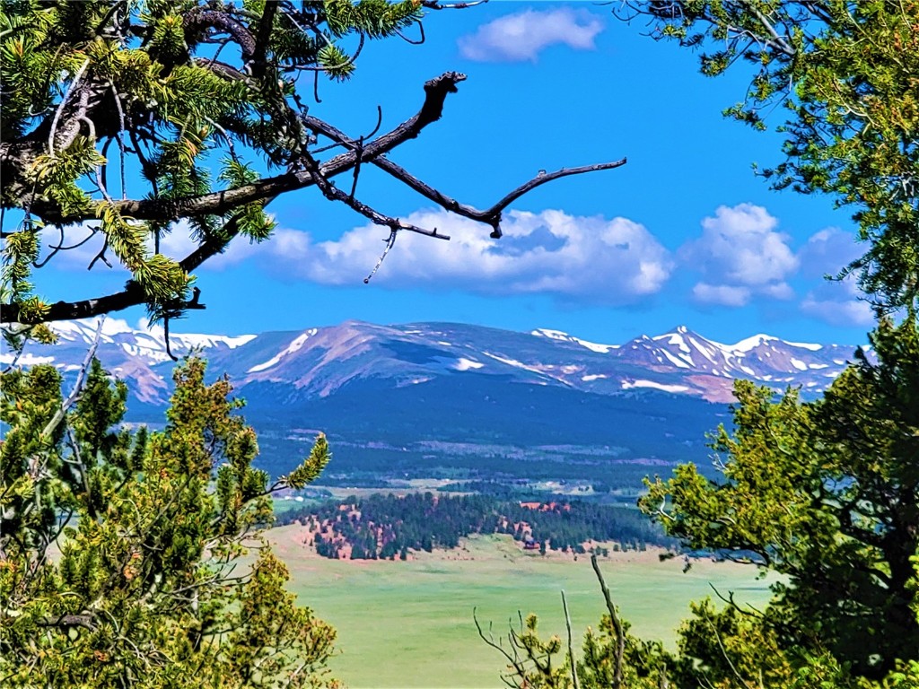 2041 Middle Fork Vista Fairplay CO 80440