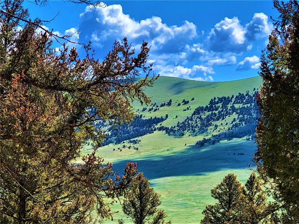 2041 Middle Fork Vista Fairplay CO 80440
