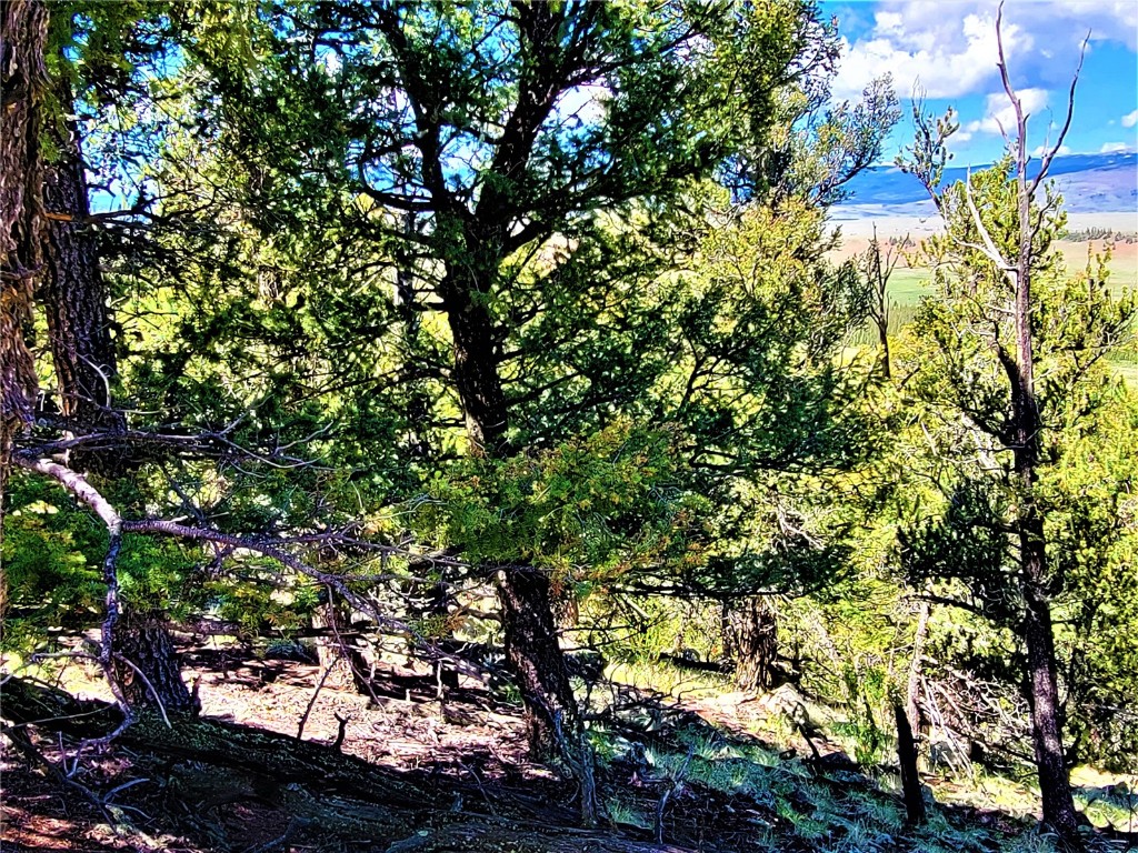 2041 Middle Fork Vista Fairplay CO 80440