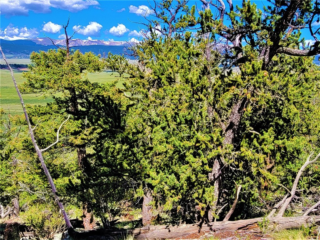 2041 Middle Fork Vista Fairplay CO 80440