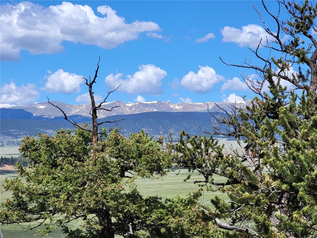 2041 Middle Fork Vista Fairplay CO 80440