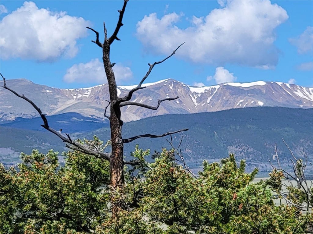 2041 Middle Fork Vista Fairplay CO 80440