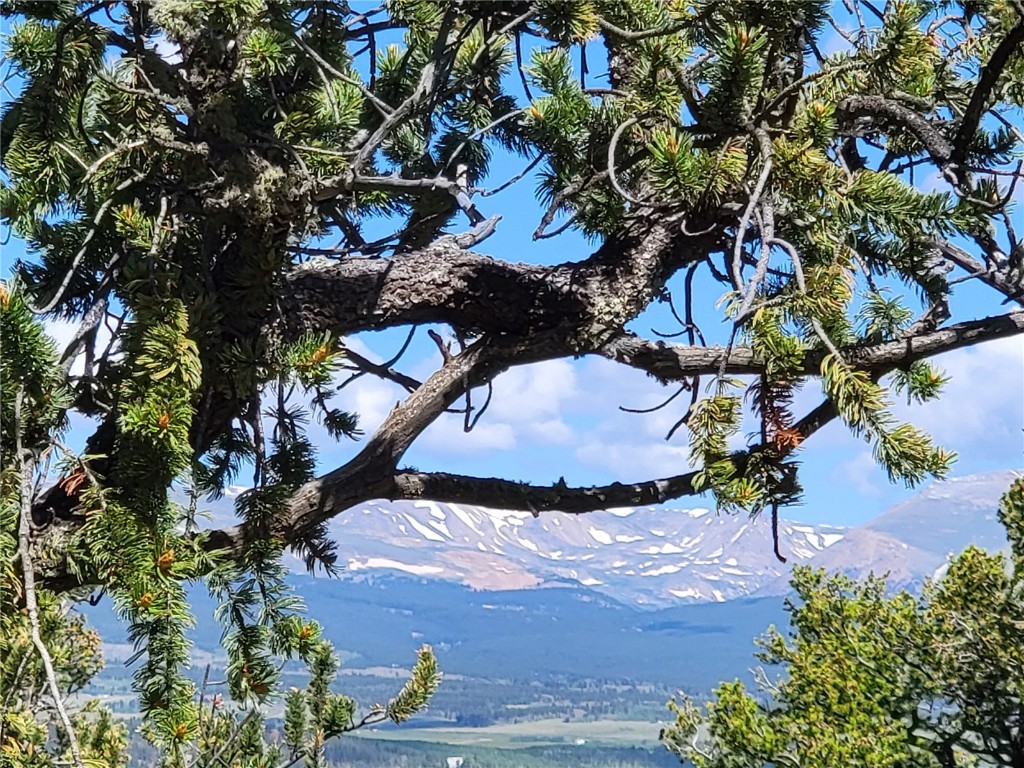 2041 Middle Fork Vista Fairplay CO 80440