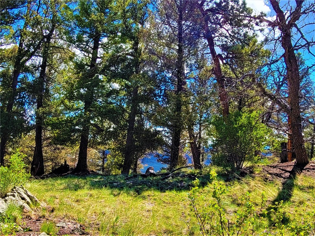 2041 Middle Fork Vista Fairplay CO 80440