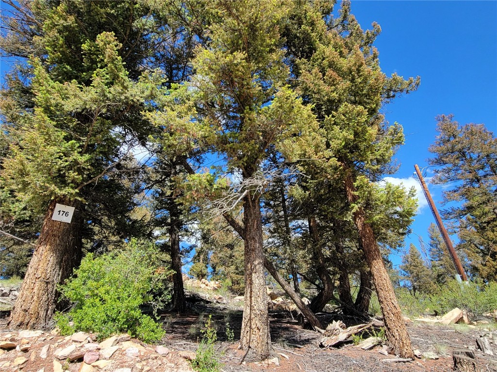 2041 Middle Fork Vista Fairplay CO 80440