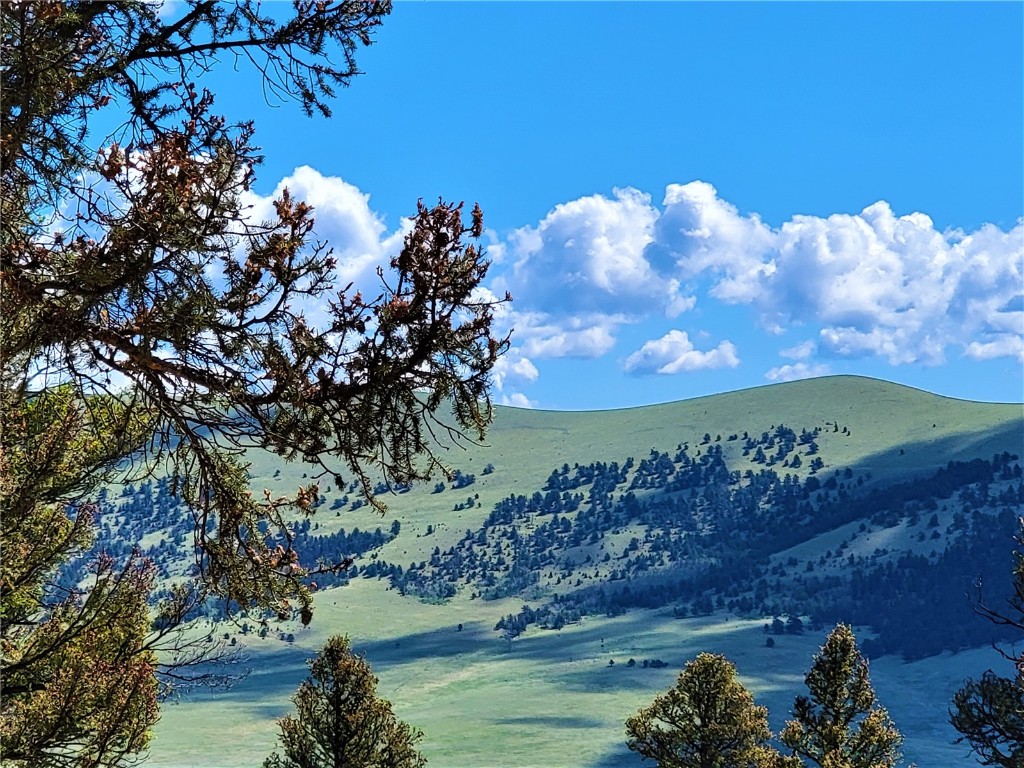2041 Middle Fork Vista Fairplay CO 80440