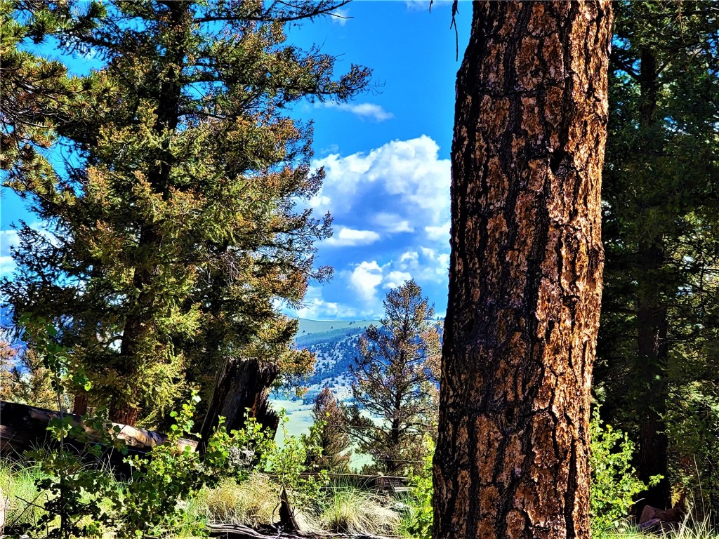 2041 Middle Fork Vista Fairplay CO 80440