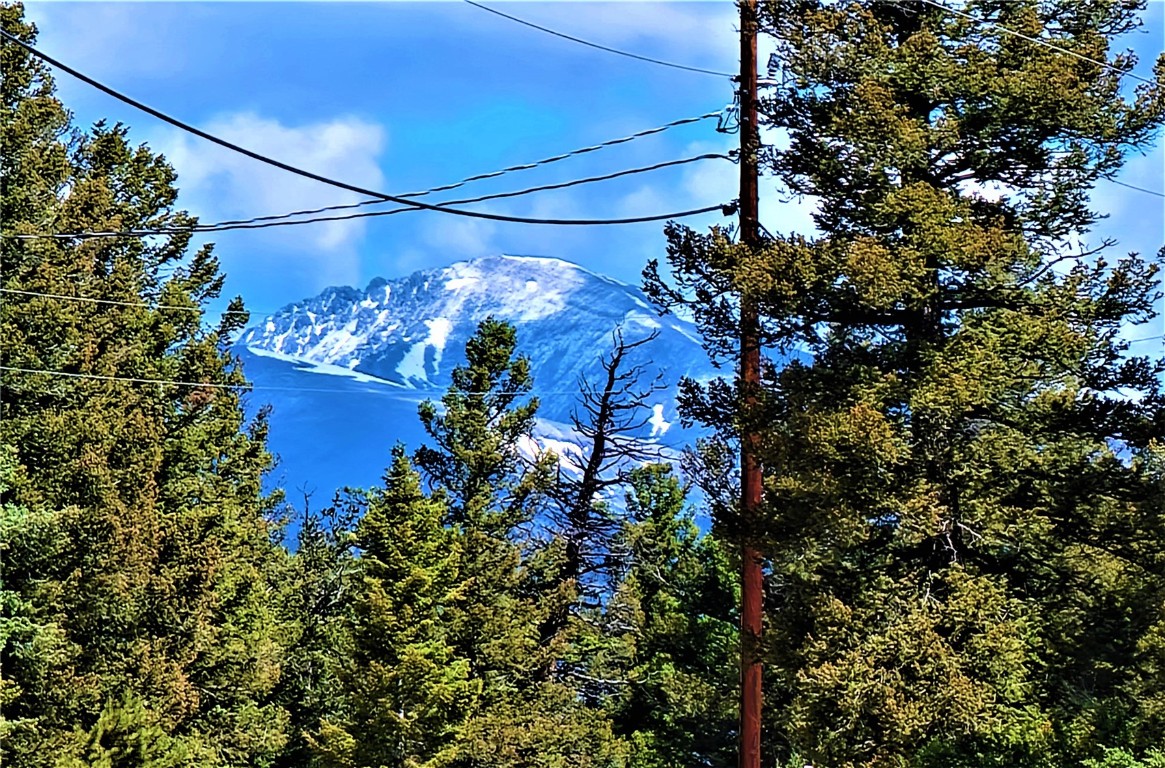 2041 Middle Fork Vista Fairplay CO 80440