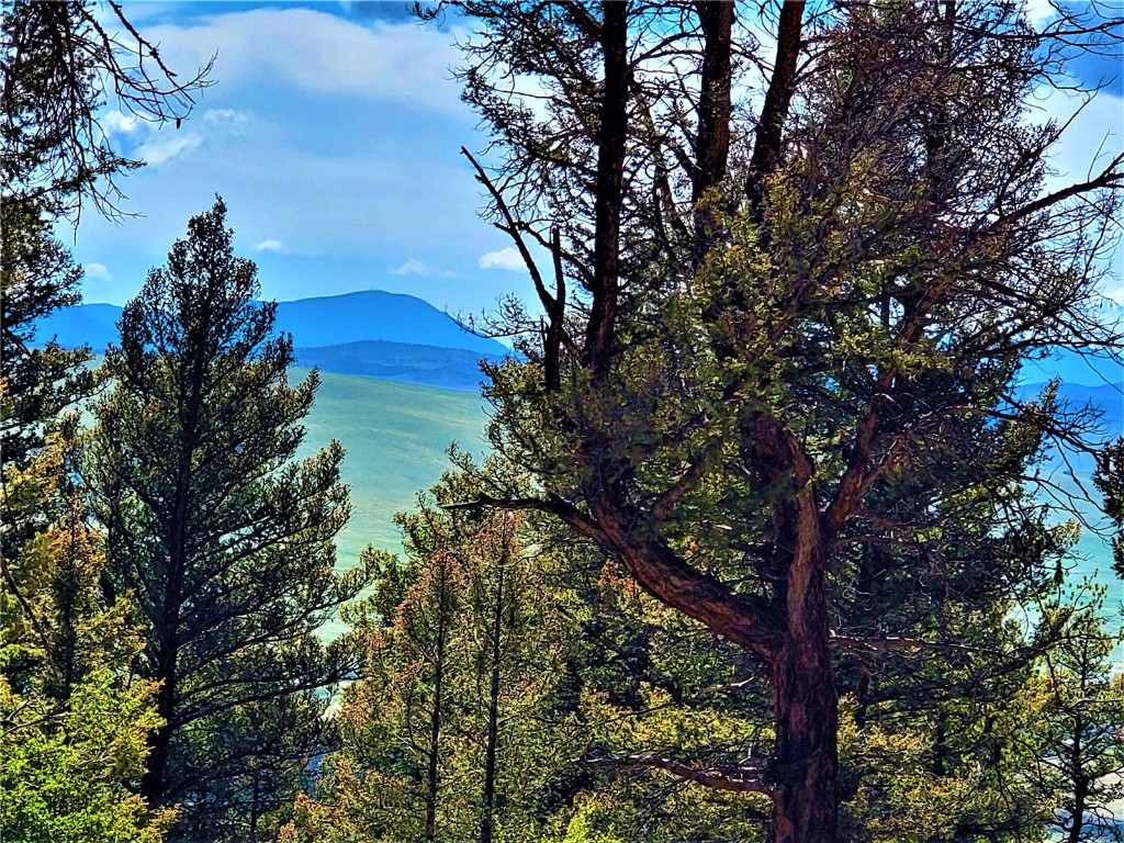 2041 Middle Fork Vista Fairplay CO 80440
