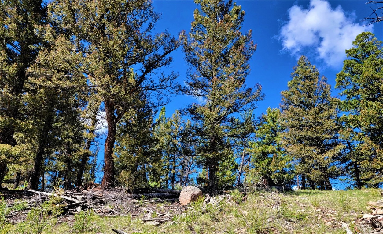 2041 Middle Fork Vista Fairplay CO 80440