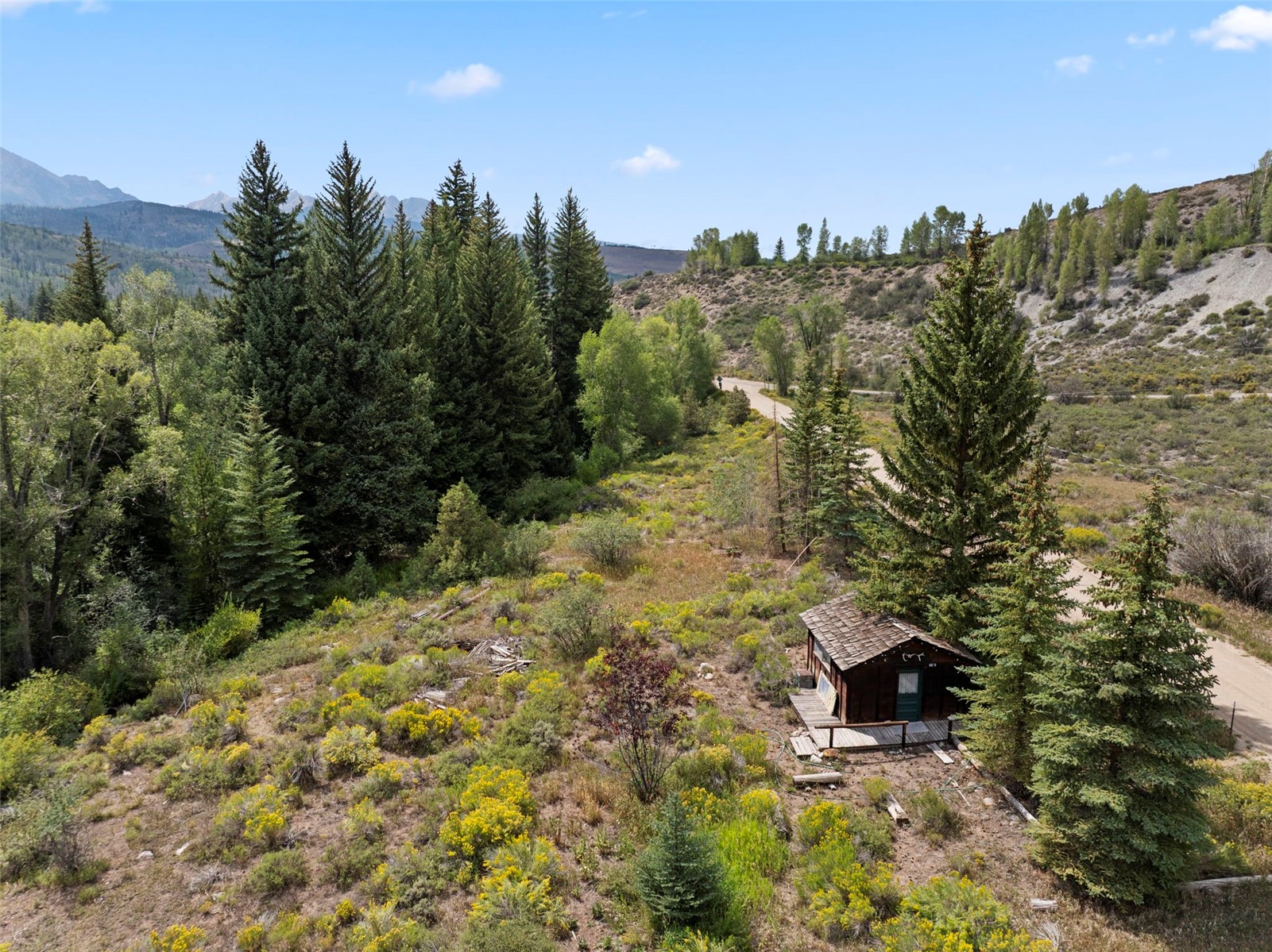 79 Johnson Road Silverthorne CO 80498