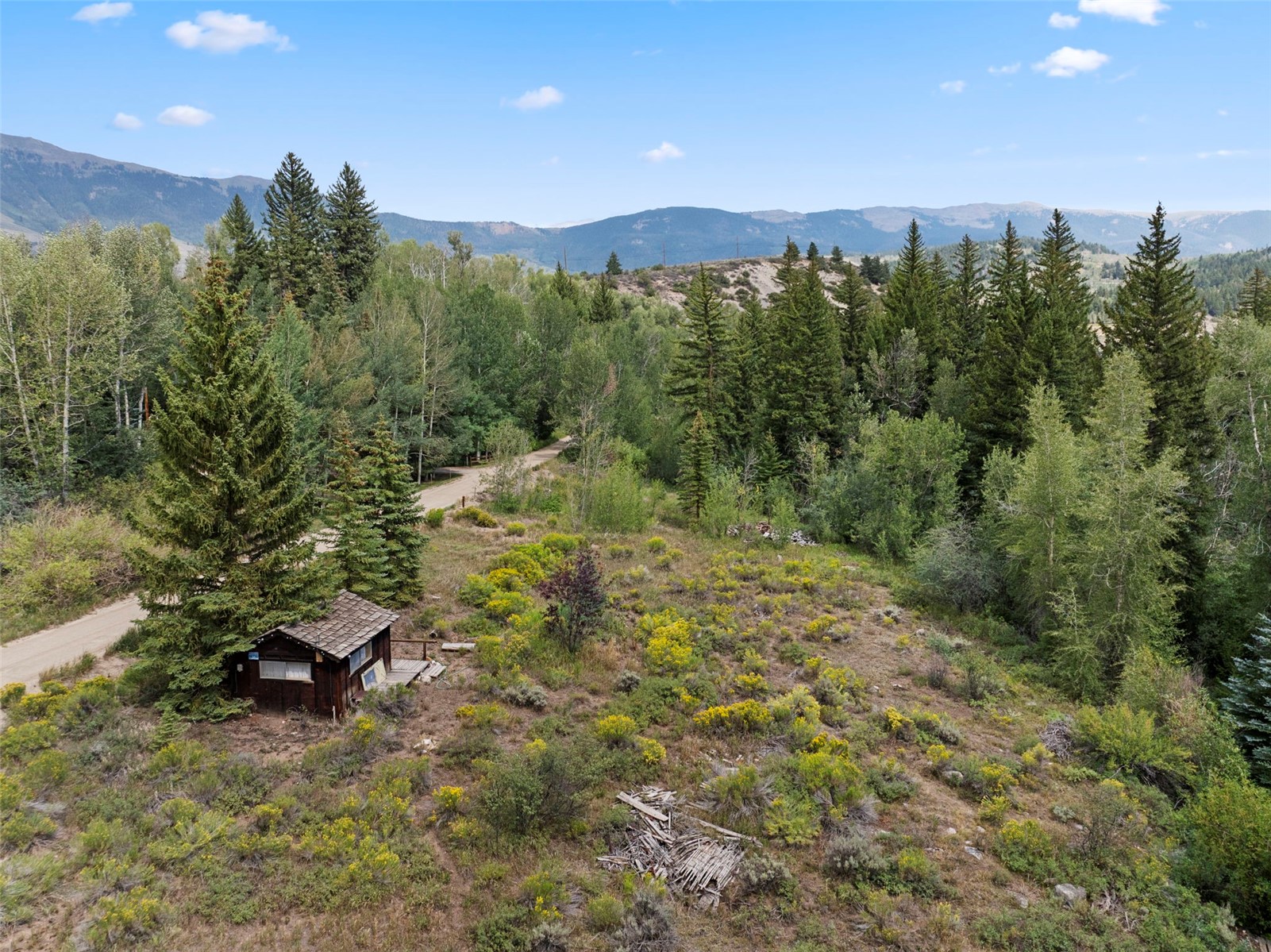 79 Johnson Road Silverthorne CO 80498
