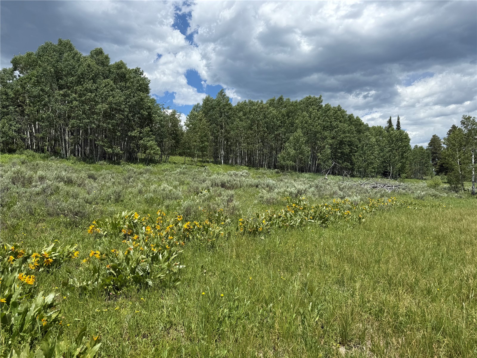 21405 Hopi Way Oak Creek CO 80467