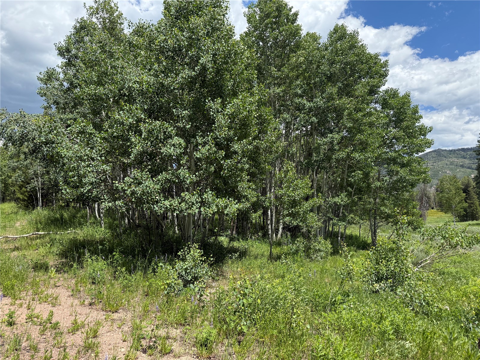 21405 Hopi Way Oak Creek CO 80467