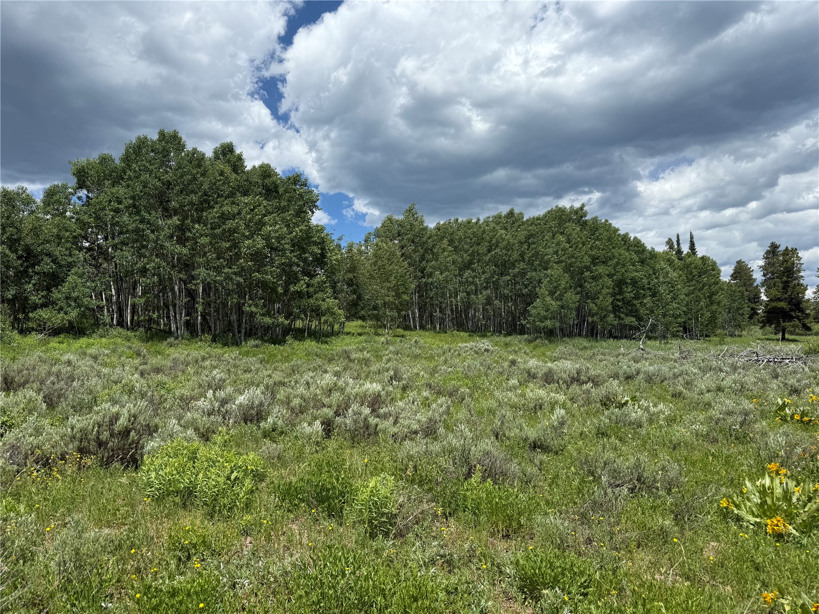 21405 Hopi Way Oak Creek CO 80467