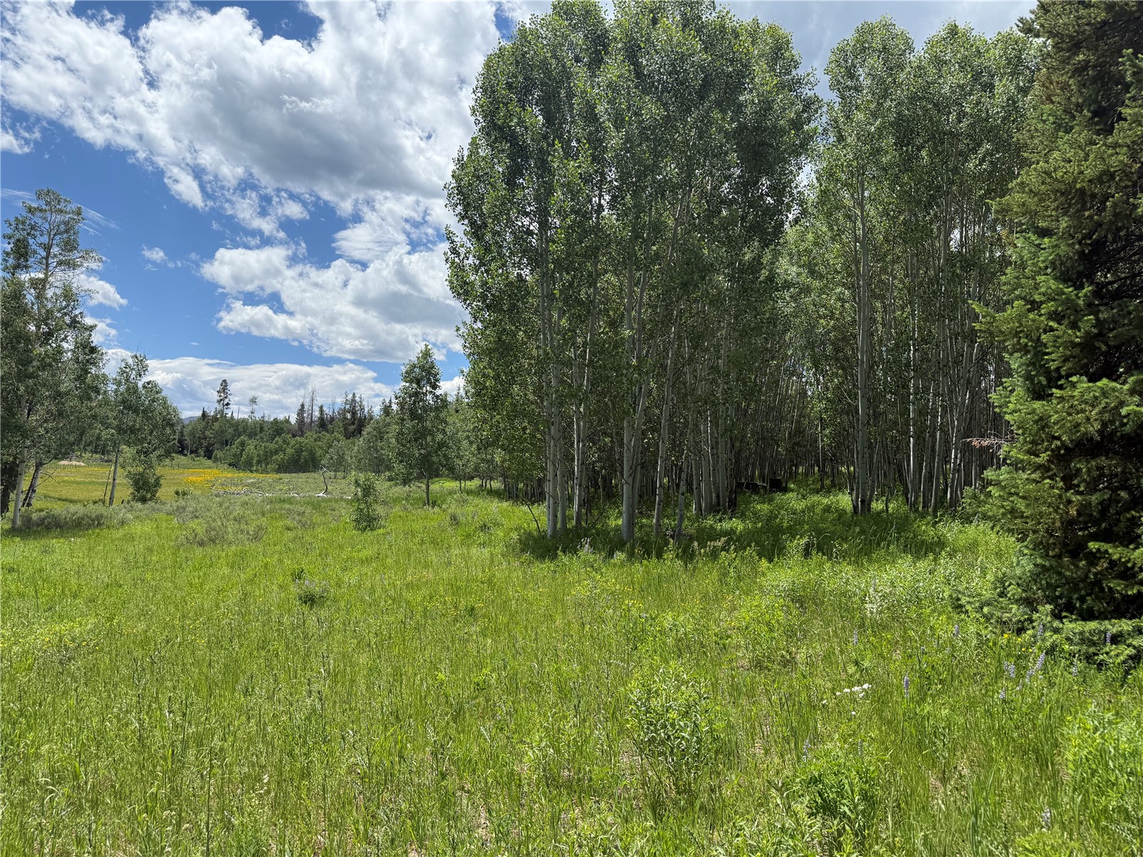 21405 Hopi Way Oak Creek CO 80467