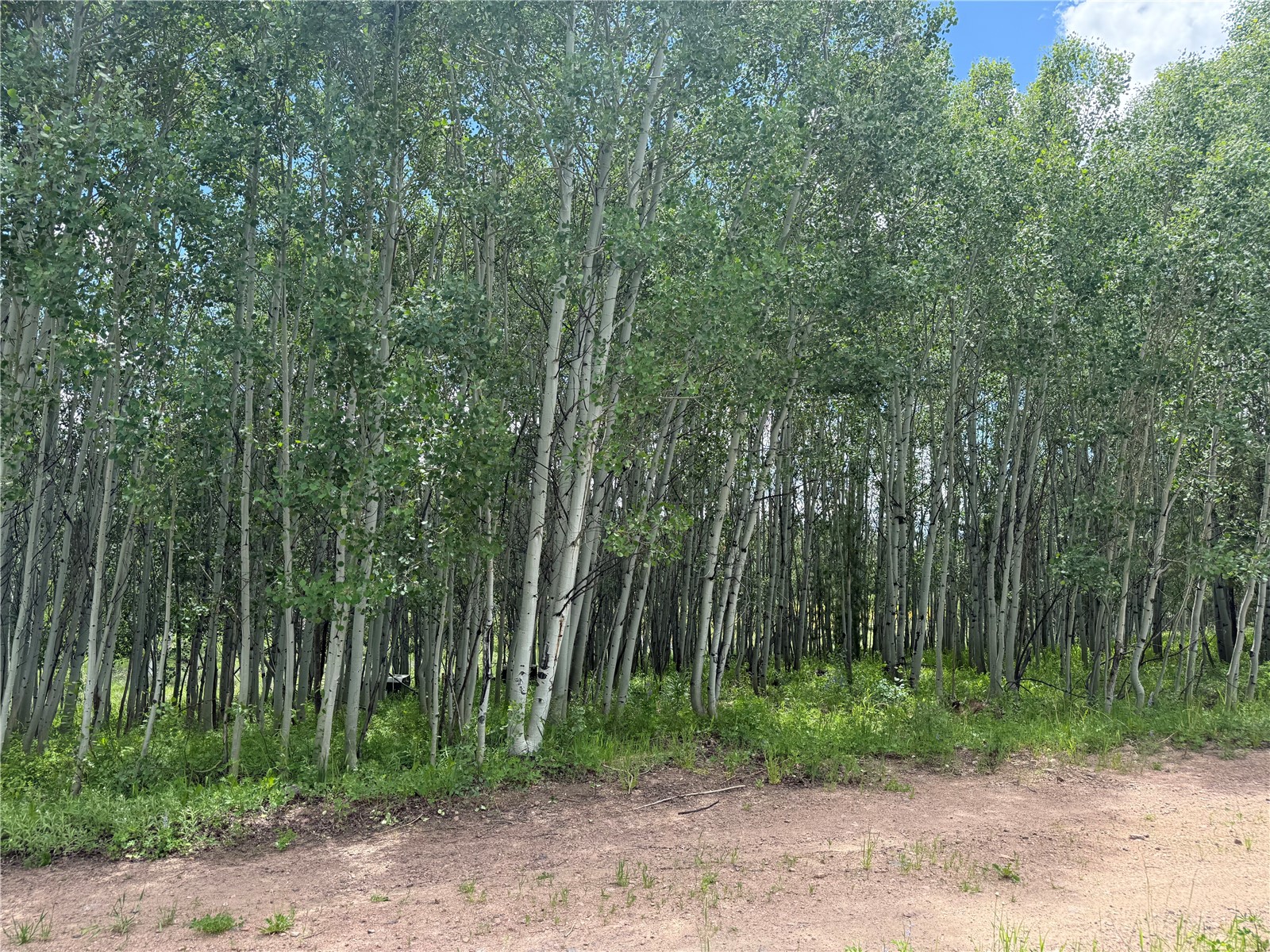 21405 Hopi Way Oak Creek CO 80467
