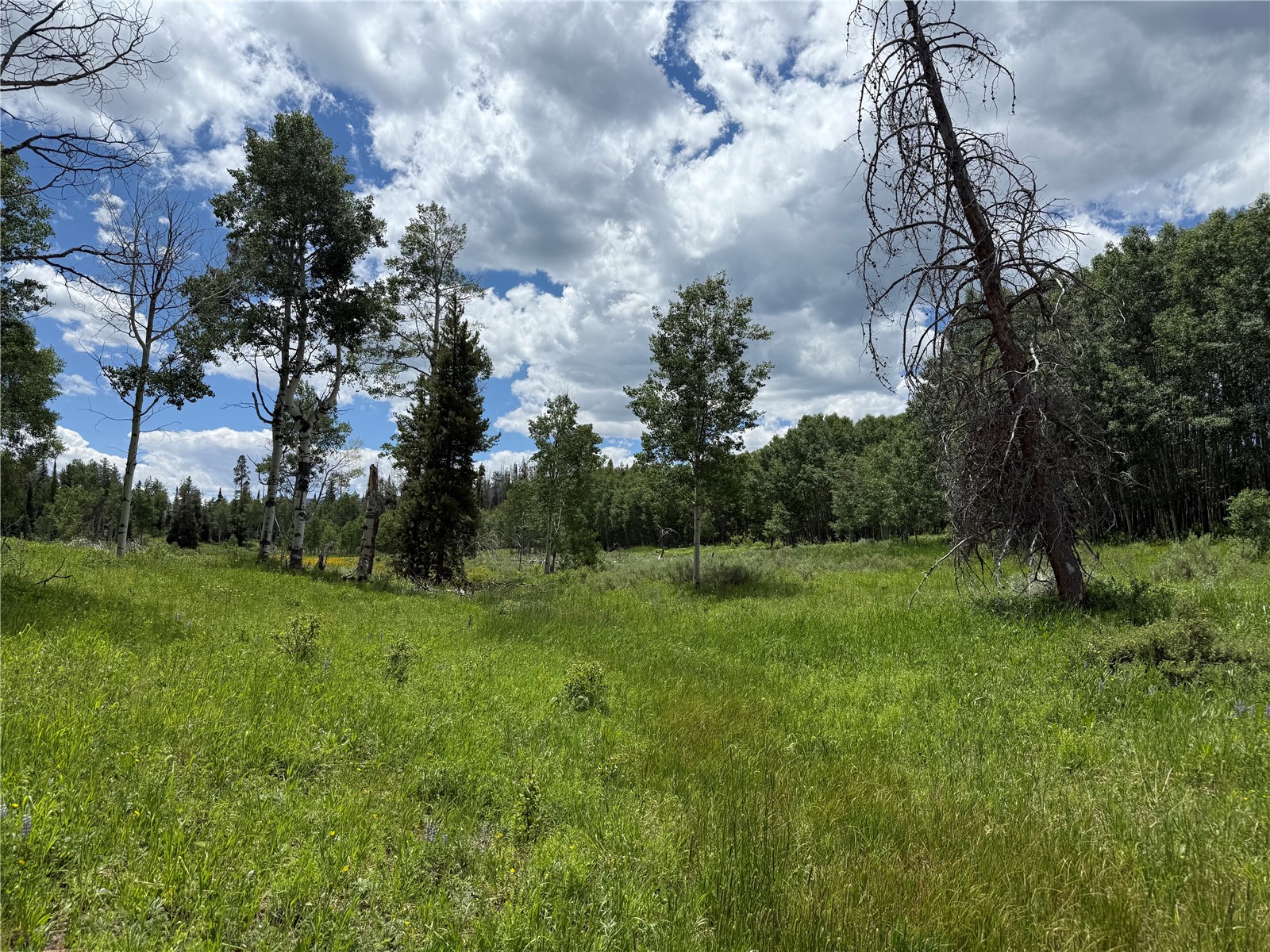 21405 Hopi Way Oak Creek CO 80467