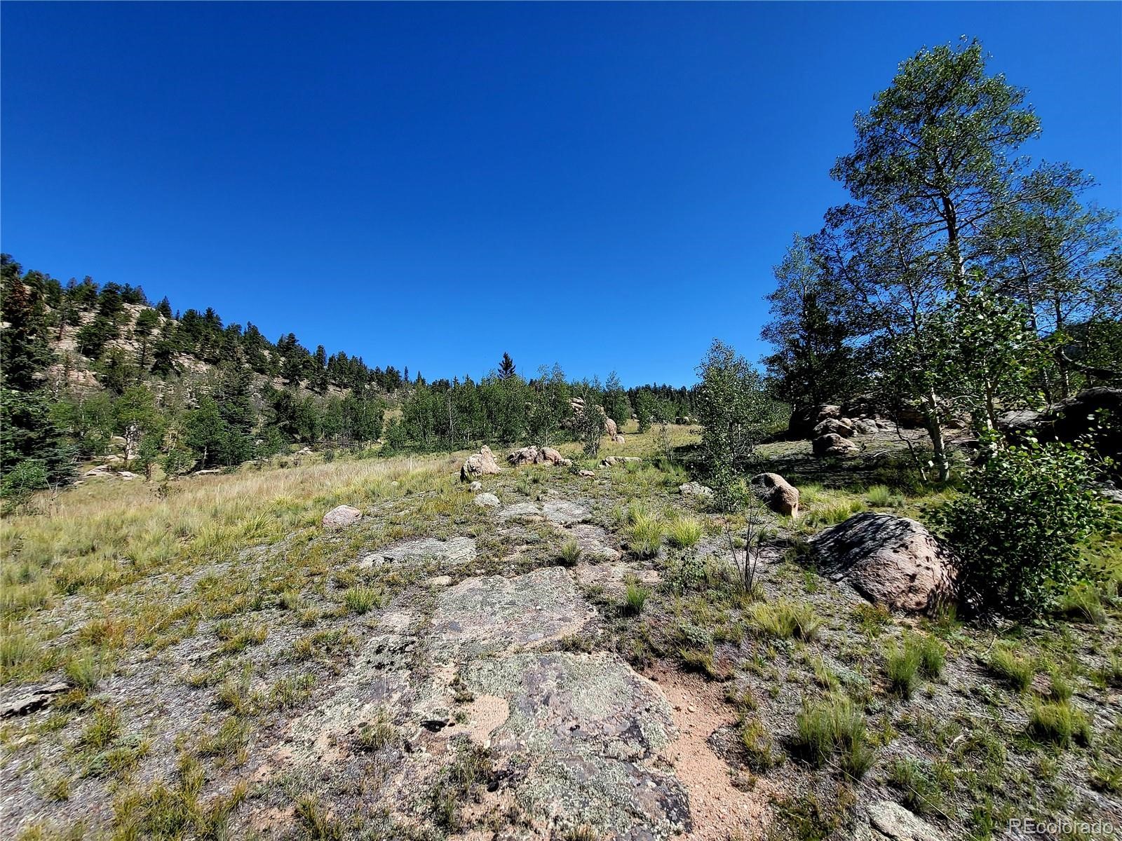 63 Longbow Court Como CO 80456