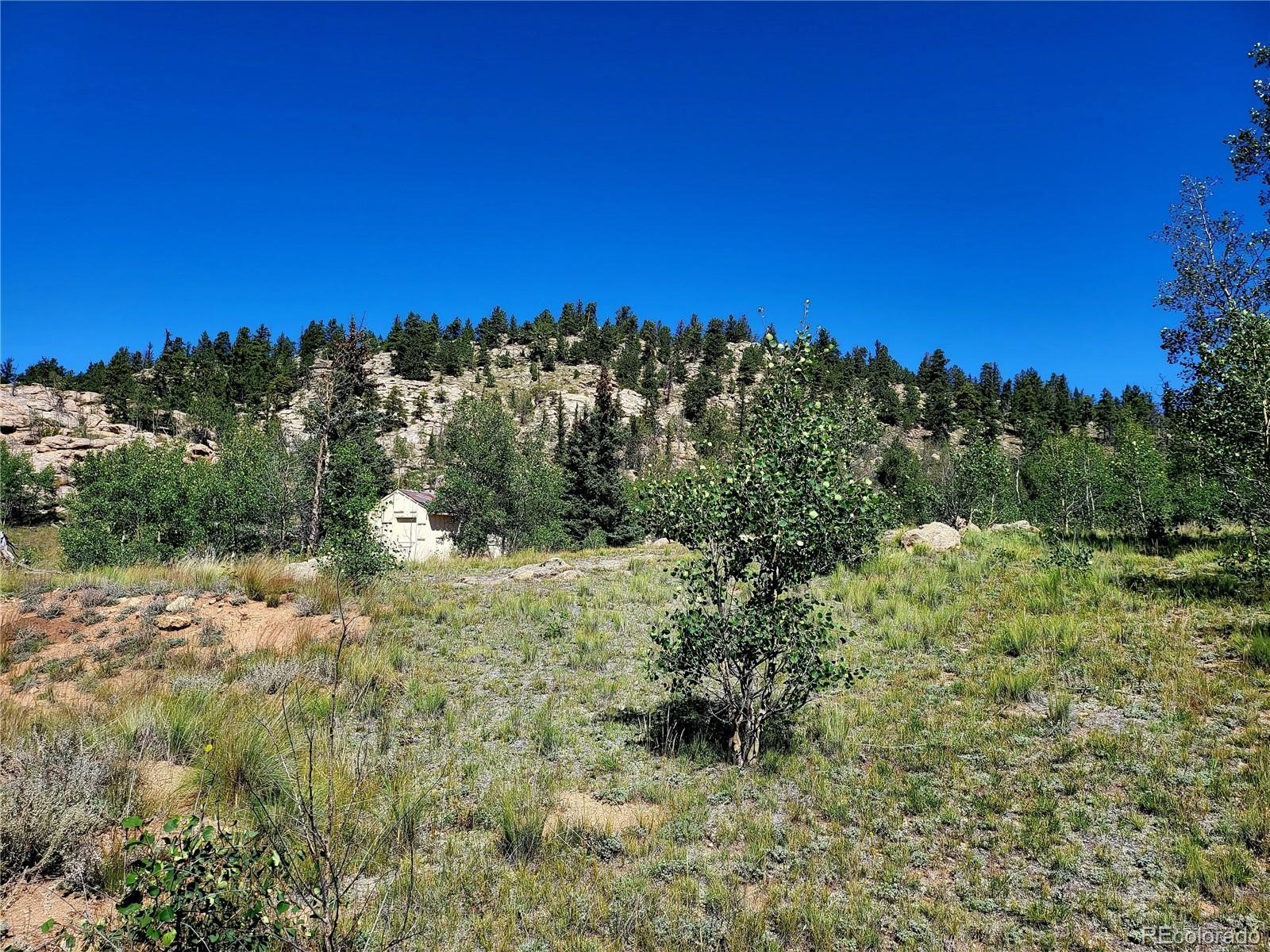 63 Longbow Court Como CO 80456
