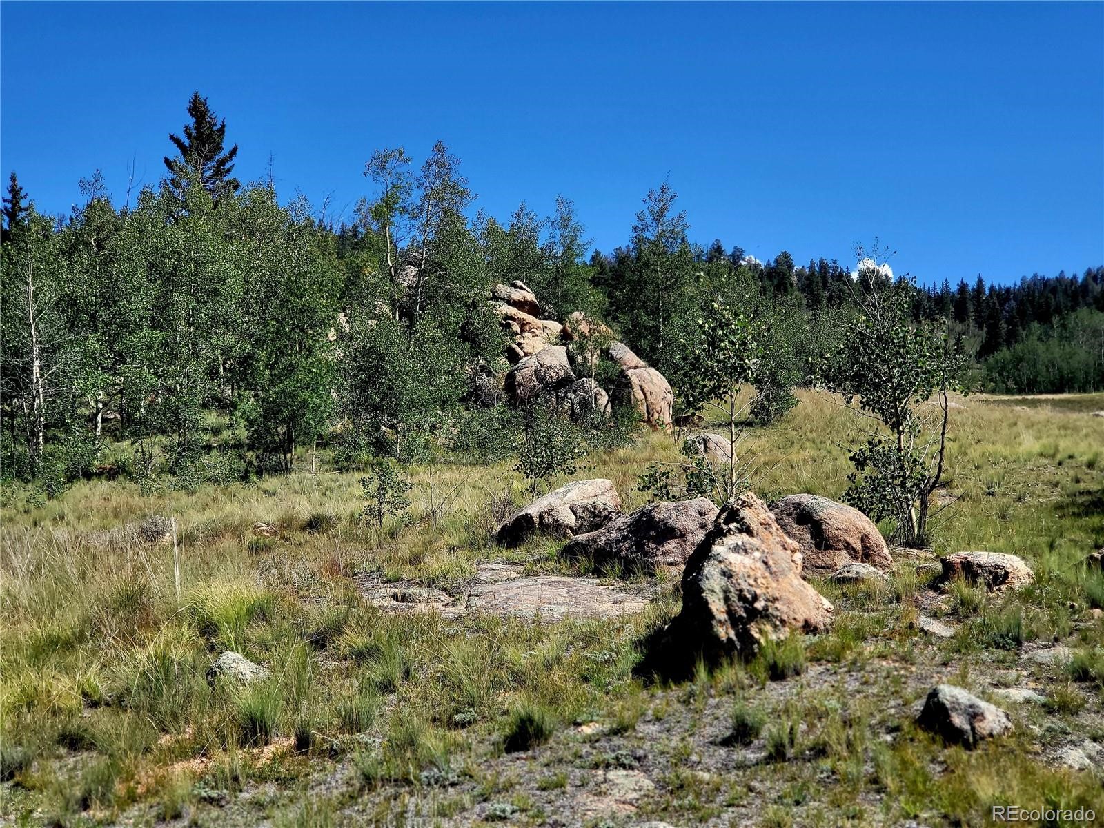 63 Longbow Court Como CO 80456