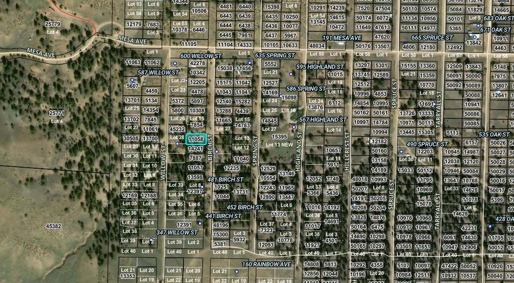 00002 Birch Street Hartsel CO 80449