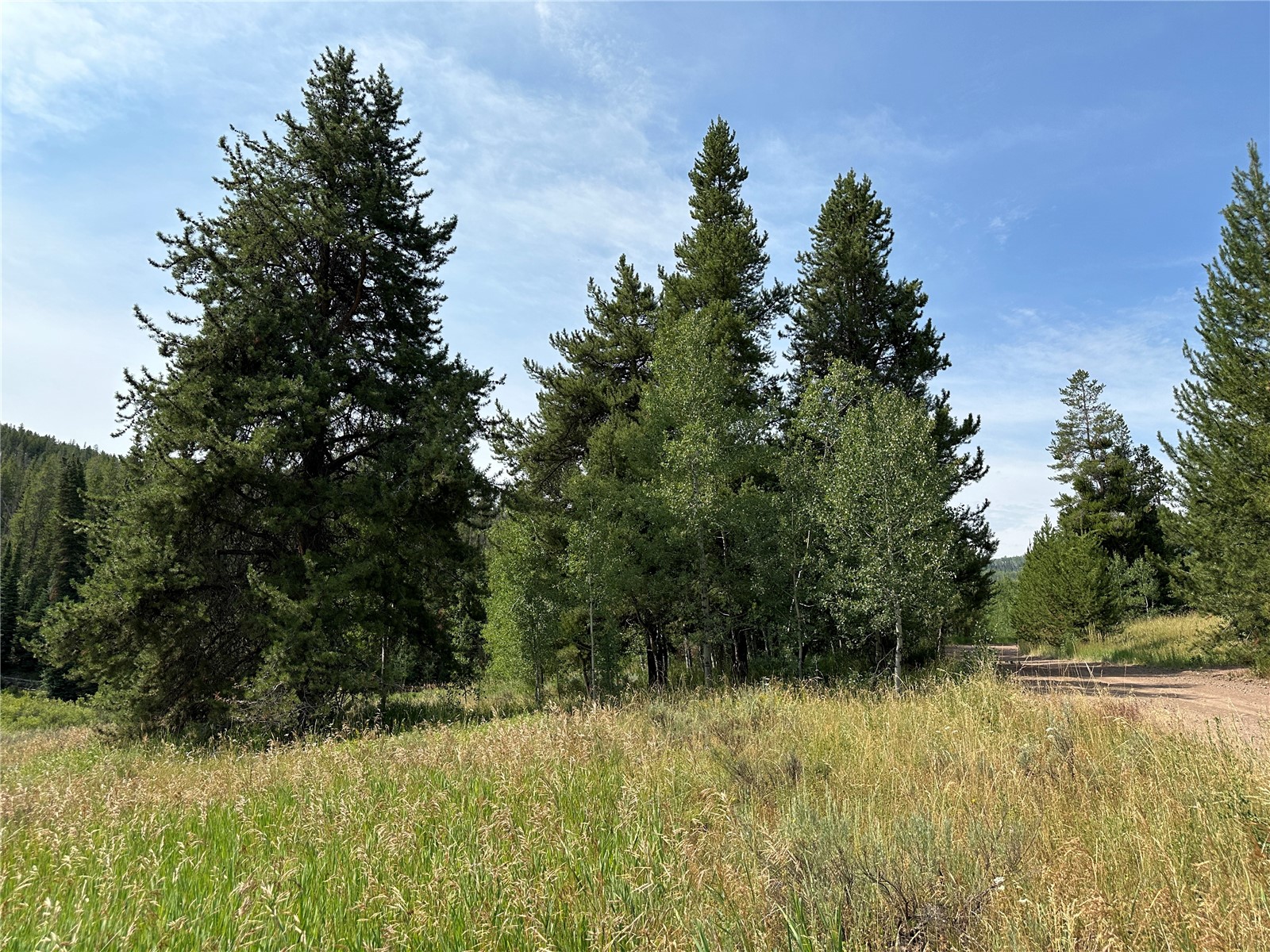 32518 Ute Trail Oak Creek CO 80467