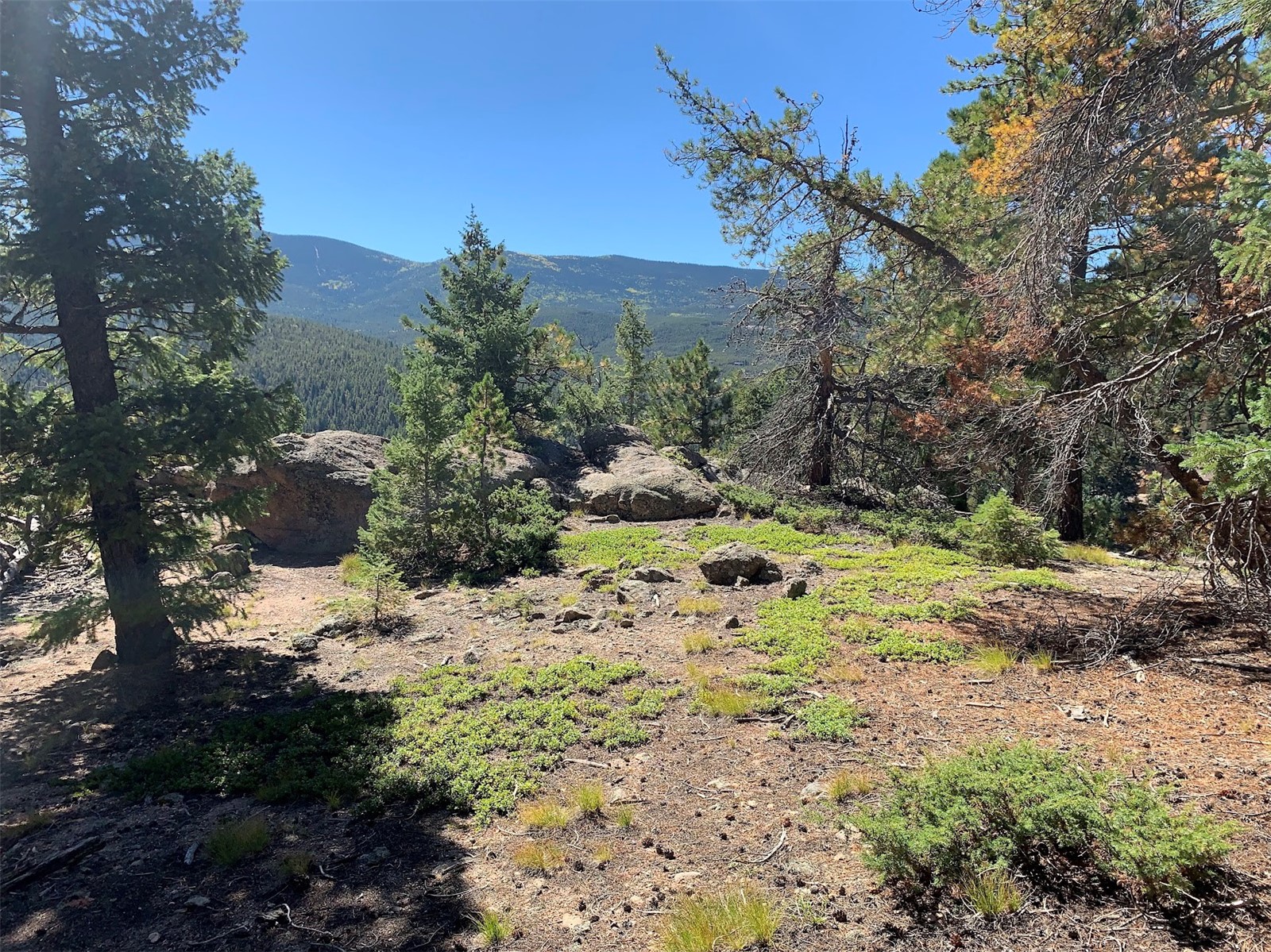 32764 Lodgepole Circle Evergreen CO 80439