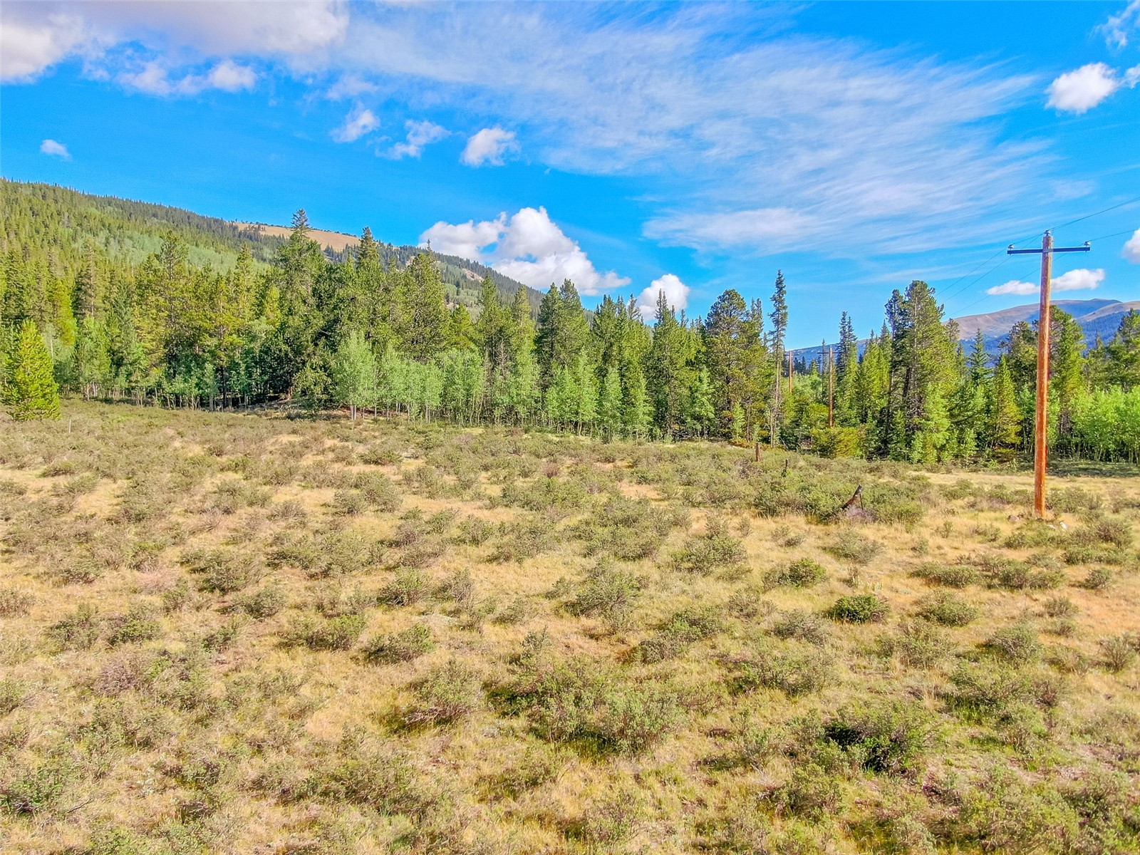 935 Co Road 6 Alma CO 80420