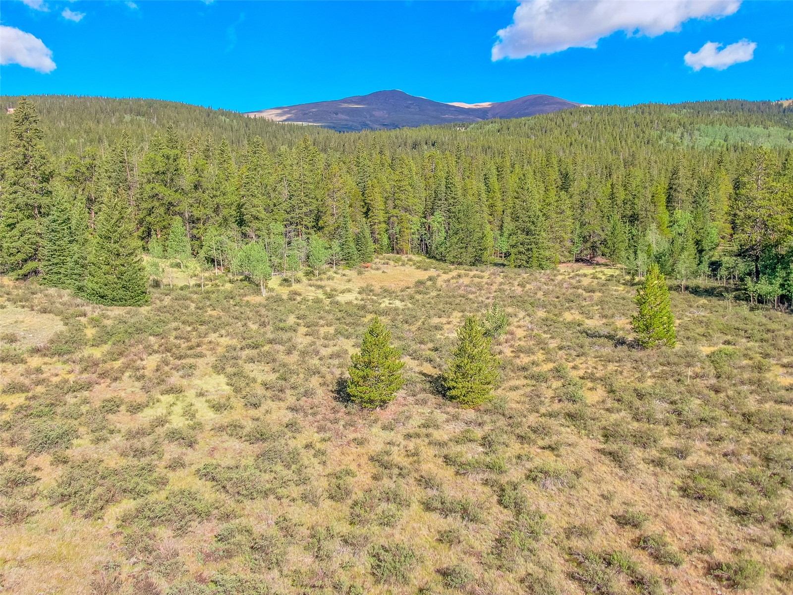 935 Co Road 6 Alma CO 80420