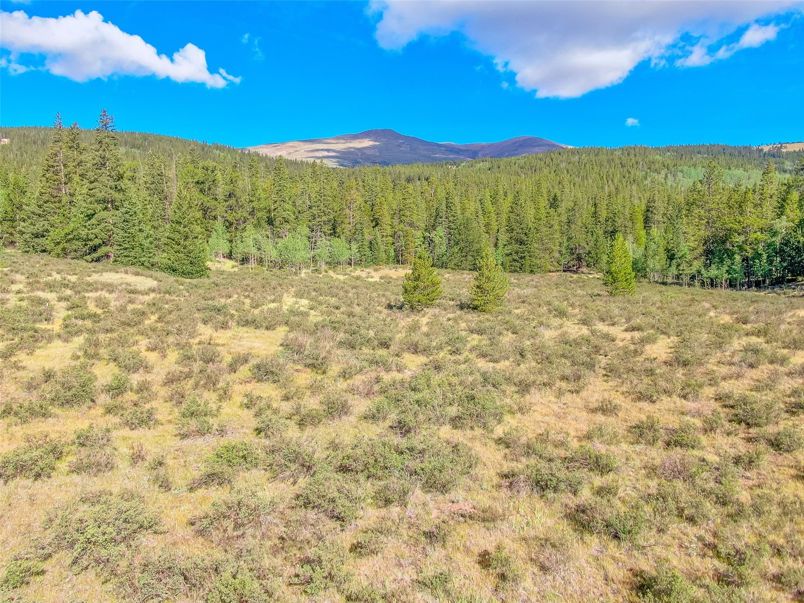 935 Co Road 6 Alma CO 80420
