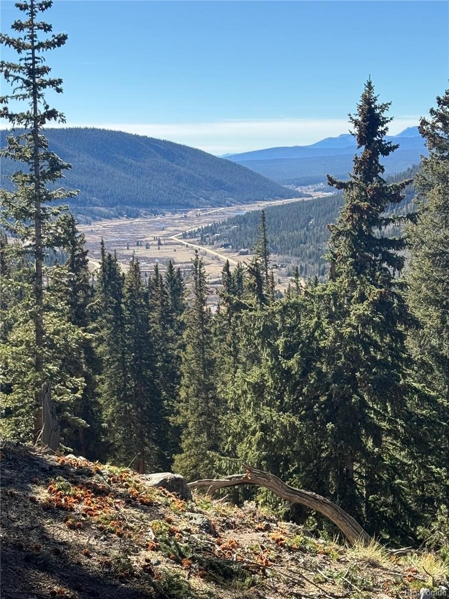 275 Lakeview Drive Alma CO 80420