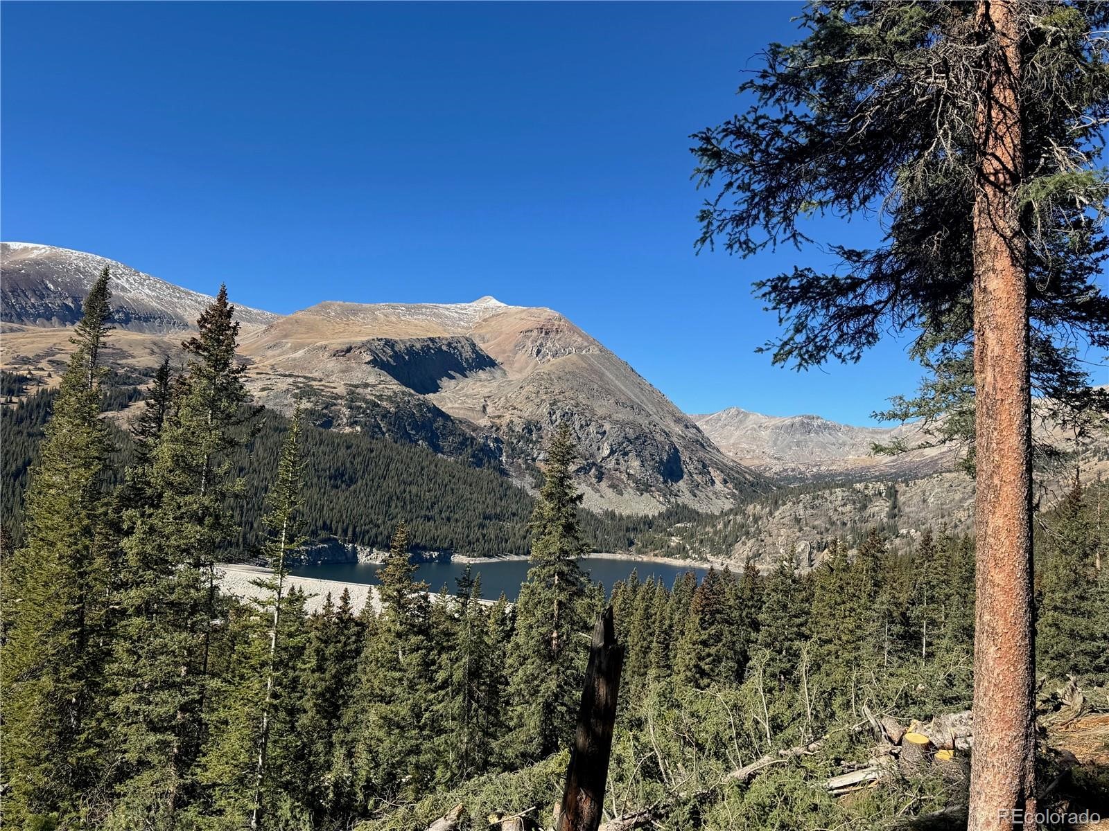 275 Lakeview Drive Alma CO 80420