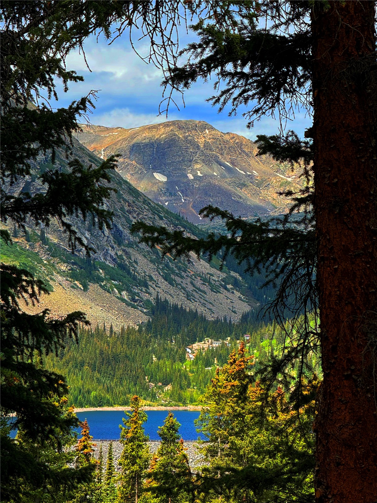 275 Lakeview Drive Alma CO 80420