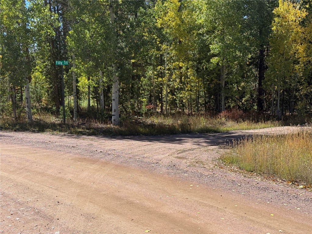 33345 Appaloosa Way Oak Creek CO 80467