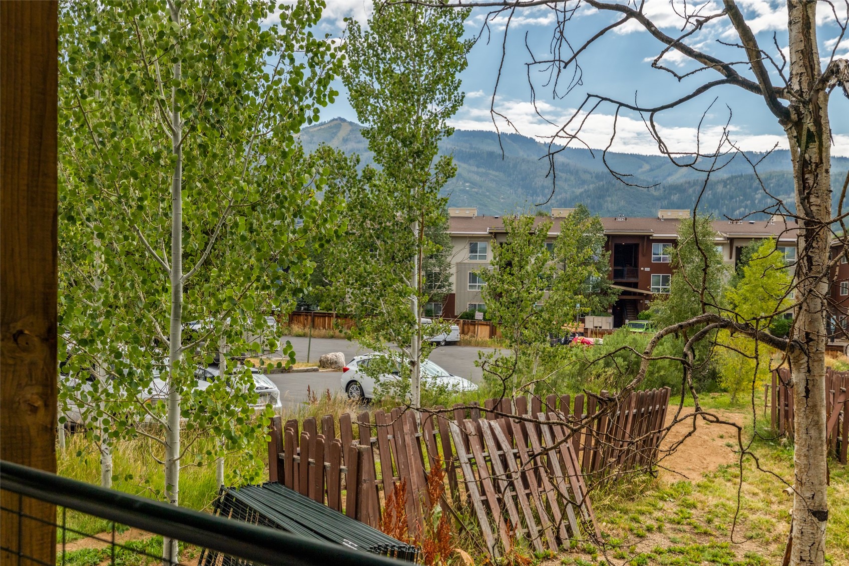 1382/1384 Skyview Lane Steamboat Springs CO 80487