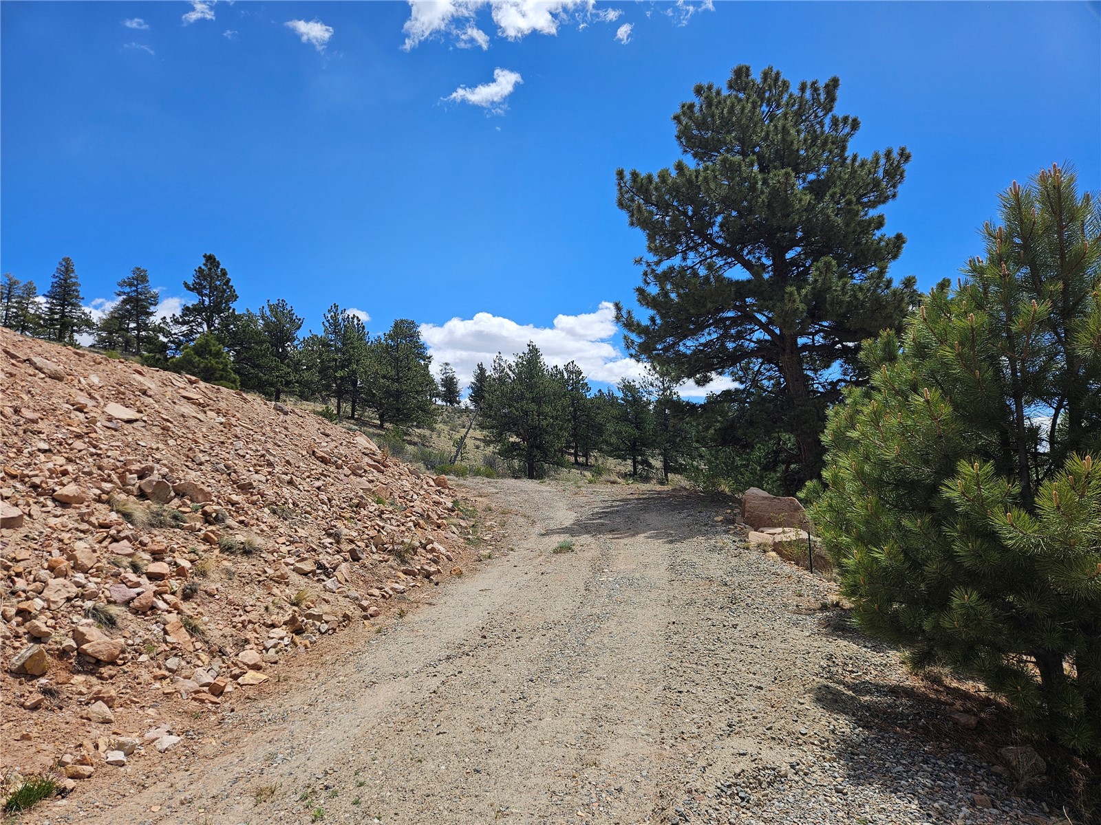 636 Bonell Drive Fairplay CO 80440