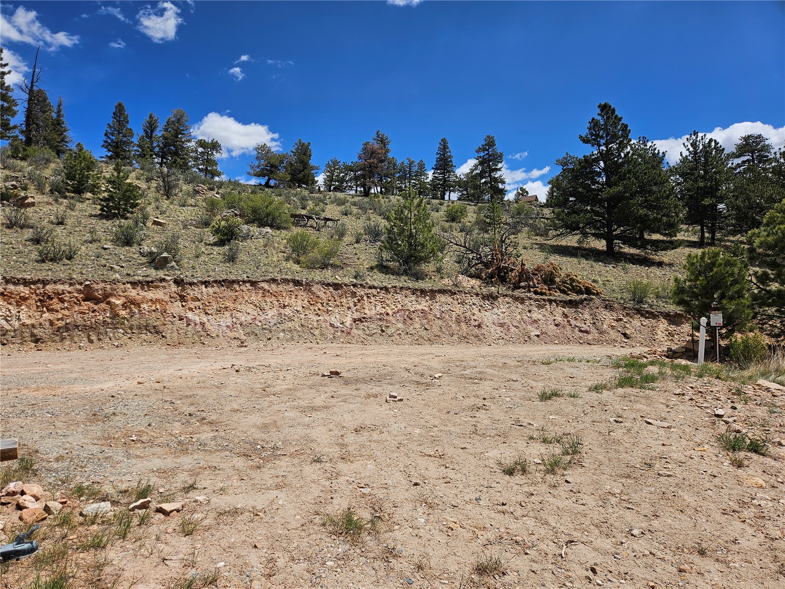 636 Bonell Drive Fairplay CO 80440