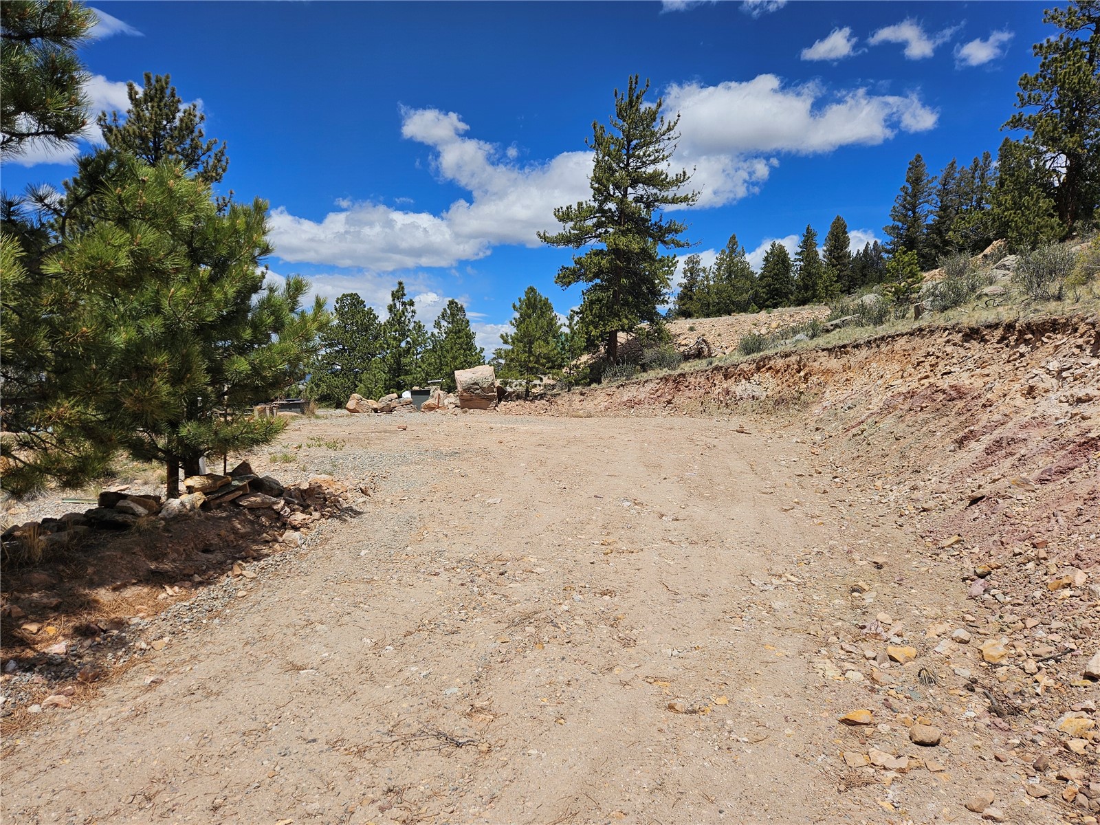 636 Bonell Drive Fairplay CO 80440