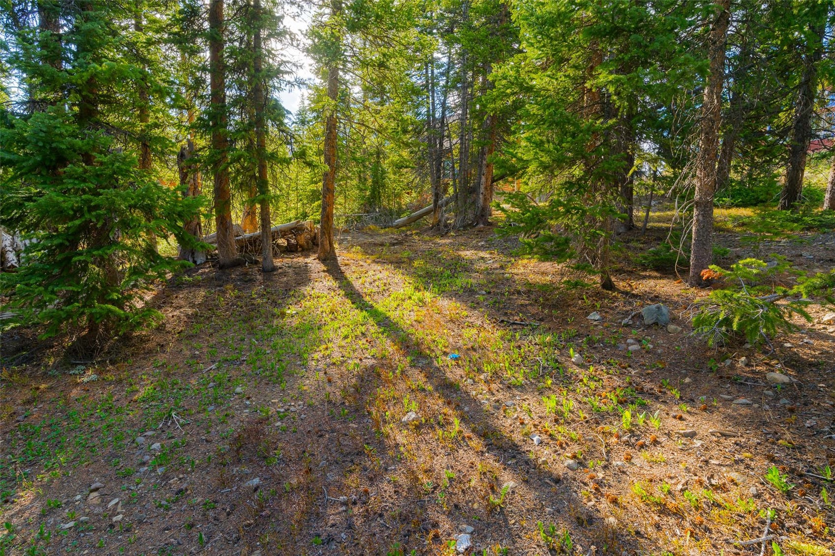 233 Camron Lane Breckenridge CO 80424
