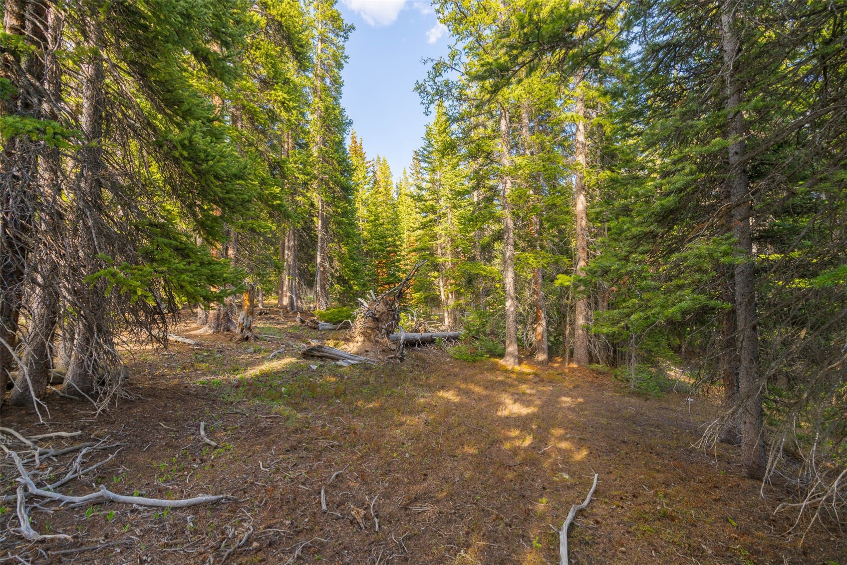 233 Camron Lane Breckenridge CO 80424