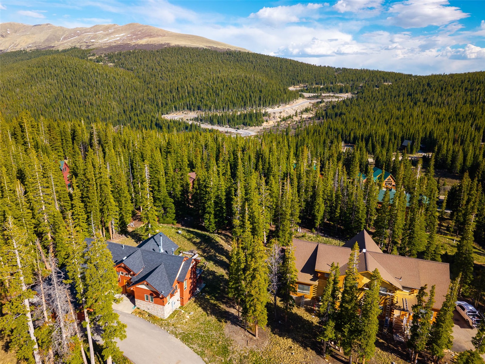 233 Camron Lane Breckenridge CO 80424