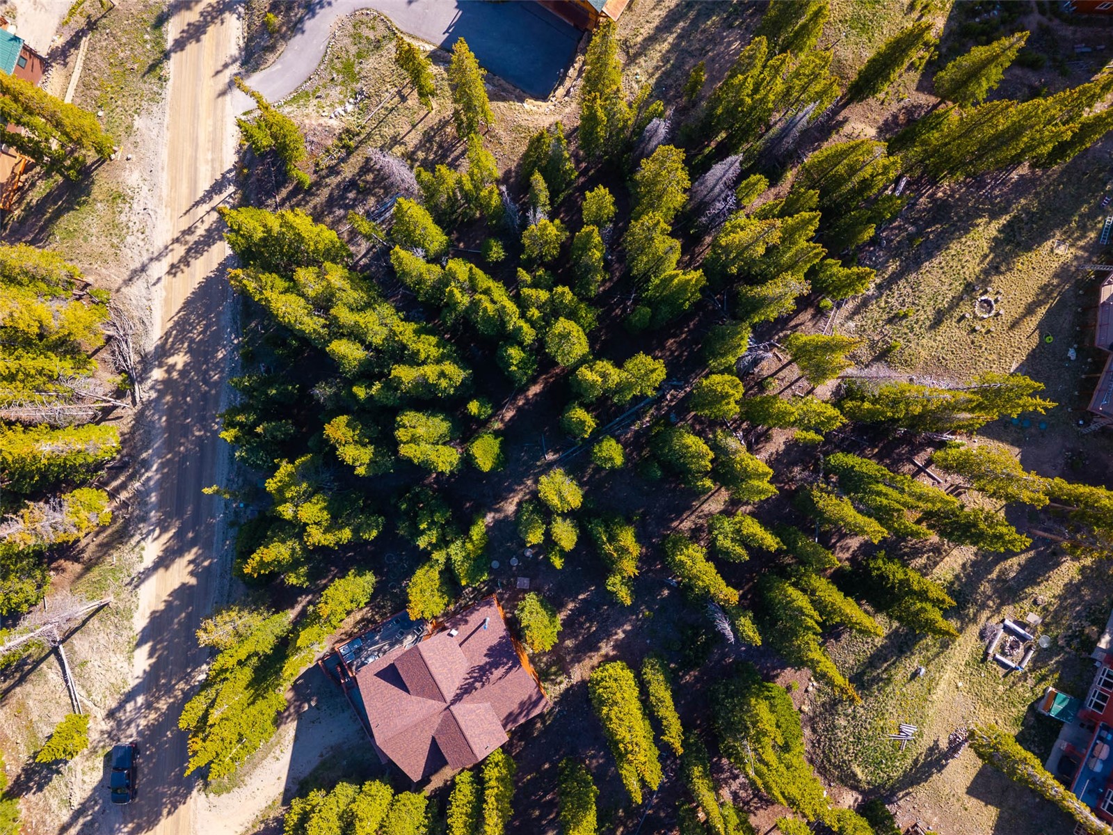 233 Camron Lane Breckenridge CO 80424