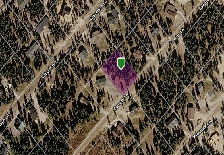 233 Camron Lane Breckenridge CO 80424