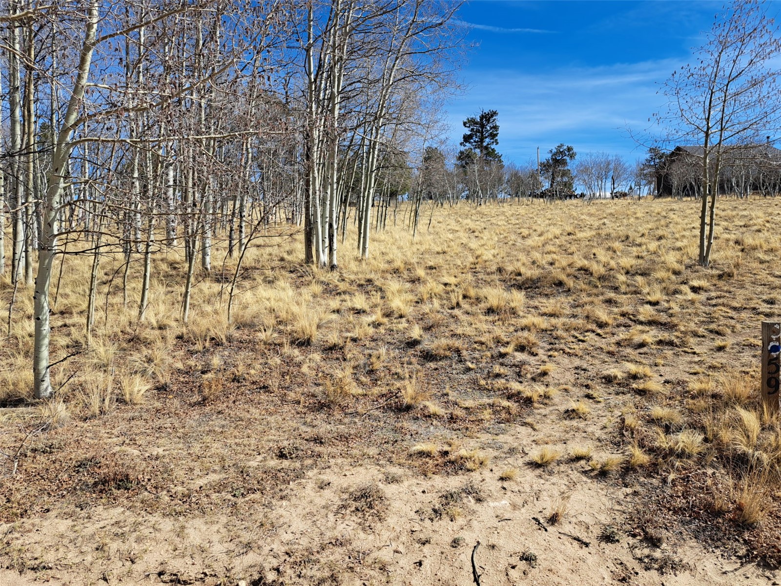 593 Pinto Trail Como CO 80432