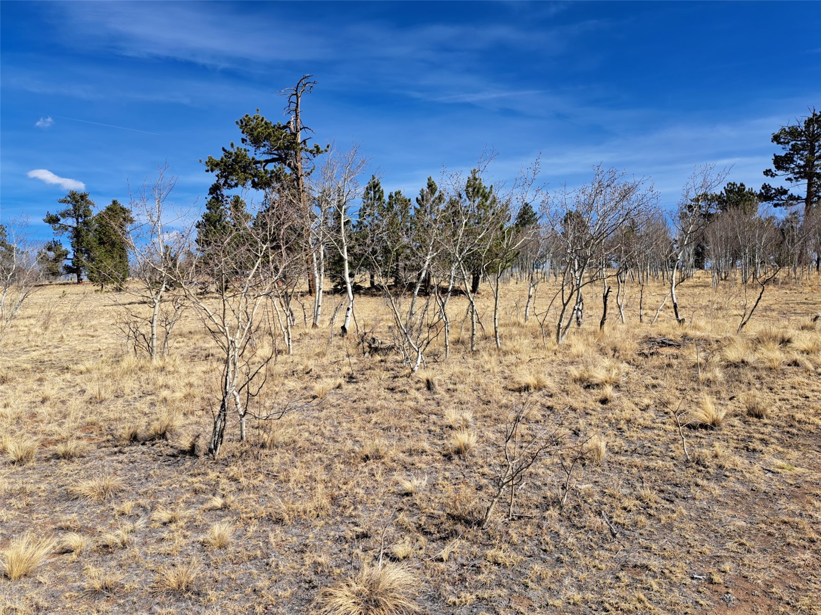 593 Pinto Trail Como CO 80432