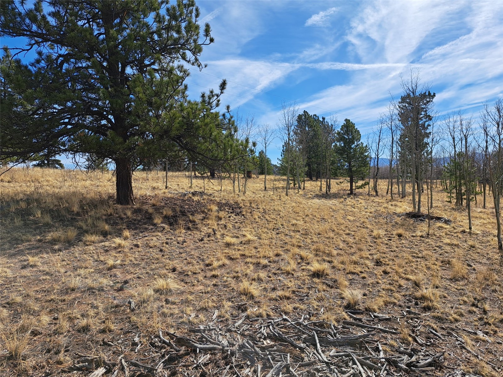 593 Pinto Trail Como CO 80432