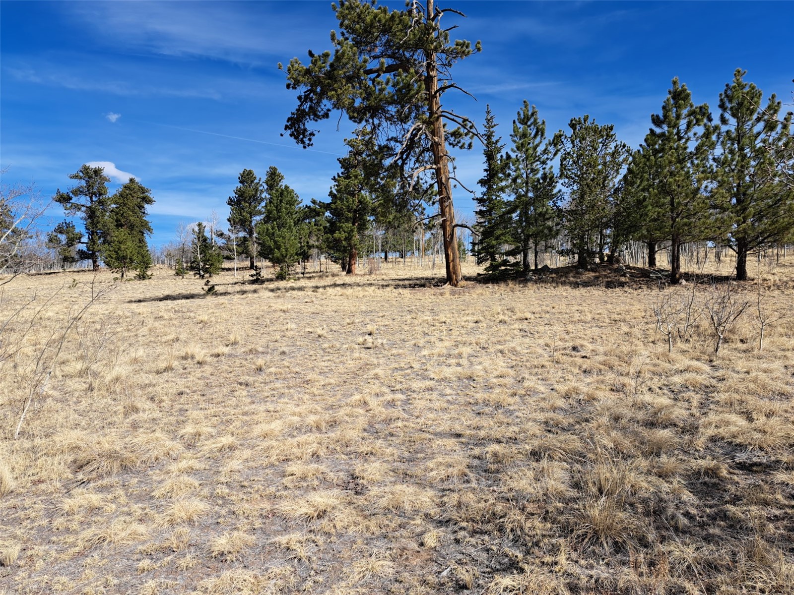 593 Pinto Trail Como CO 80432