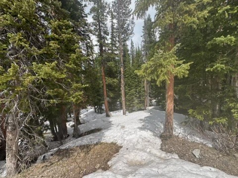 584 Camron Lane Breckenridge CO 80424